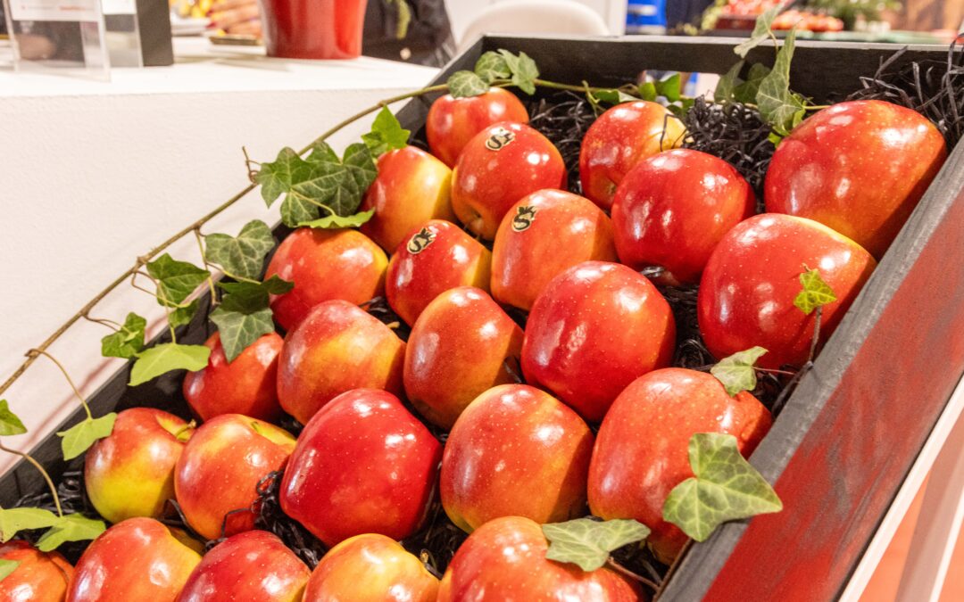 FRUIT POLAND 2025 – innowacje, ekologia i praktyka w jednym miejscu