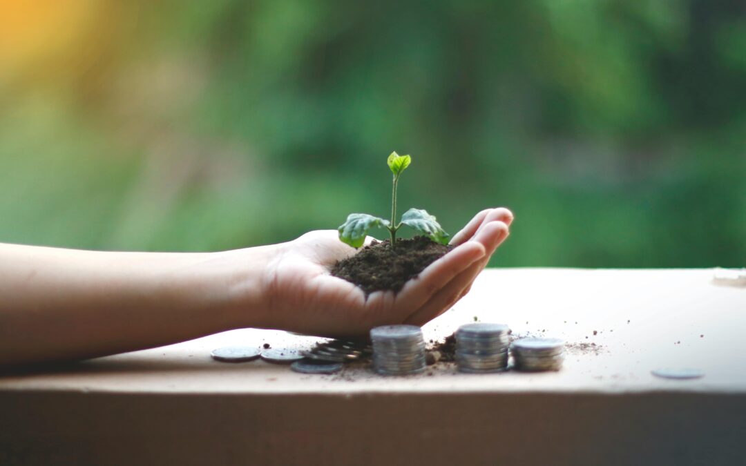 IFOAM: Rolnictwo ekologiczne powinno być fundamentem unijnej Strategii Bioekonomii