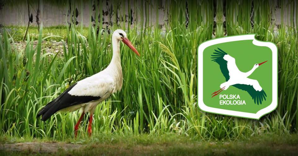 Karmimy EKO – debata na World Food Poland Ekologia na każdym poziomie