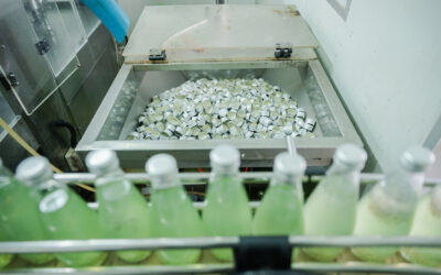 Gospodarstwo ekologiczne otwiera własną przetwórnię i okazuje się, że instalacja to osobny projekt