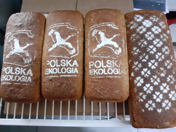 Pracowite 20 lat Stowarzyszenia „Polska Ekologia”. Edukacja konsumencka i dbałość o środowisko naturalne